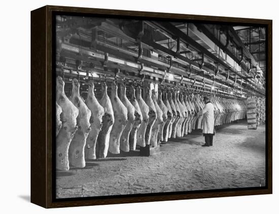 Rows of Meat in Storage at Bronx Warehouse-Herbert Gehr-Framed Premier Image Canvas