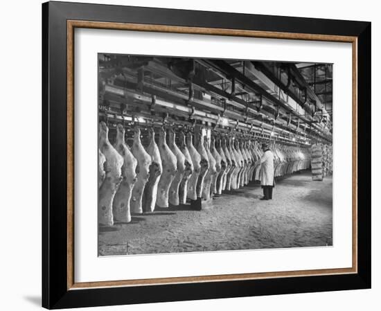 Rows of Meat in Storage at Bronx Warehouse-Herbert Gehr-Framed Photographic Print