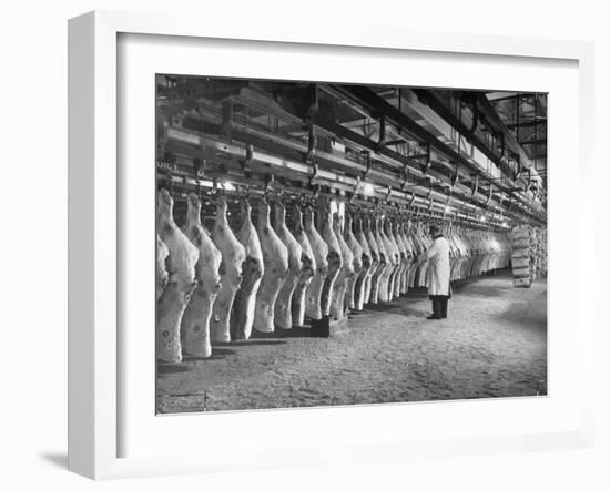 Rows of Meat in Storage at Bronx Warehouse-Herbert Gehr-Framed Photographic Print