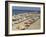 Rows of Open Beach Umbrellas Lining a Sandy Cape Cod Beach-Dmitri Kessel-Framed Photographic Print