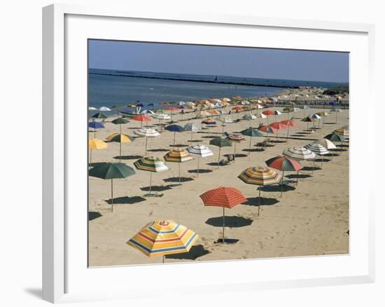 Rows of Open Beach Umbrellas Lining a Sandy Cape Cod Beach-Dmitri Kessel-Framed Photographic Print