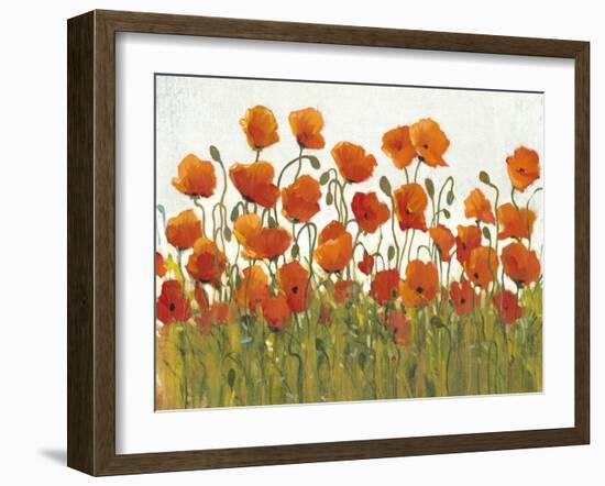 Rows of Poppies I-Tim O'toole-Framed Art Print