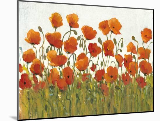 Rows of Poppies I-Tim O'toole-Mounted Art Print