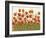 Rows of Poppies I-Tim O'toole-Framed Art Print