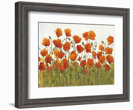 Rows of Poppies I-Tim O'toole-Framed Art Print