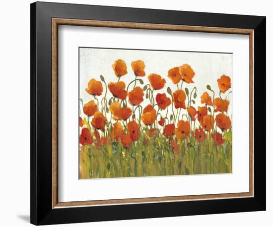 Rows of Poppies I-Tim O'toole-Framed Art Print