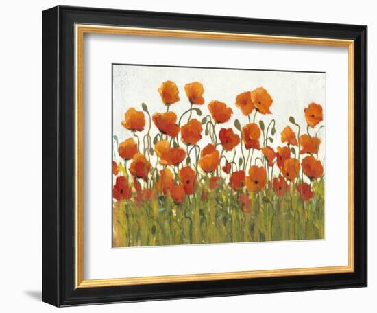 Rows of Poppies I-Tim O'toole-Framed Art Print