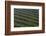 Rows of racks used in oyster farming at high tide, Ile de Re, Charente-Maritime, France, July 2017.-Loic Poidevin-Framed Photographic Print