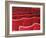 Rows of Red Theatre Seats-Kevin Walsh-Framed Photographic Print