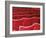 Rows of Red Theatre Seats-Kevin Walsh-Framed Photographic Print