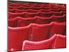 Rows of Red Theatre Seats-Kevin Walsh-Mounted Photographic Print