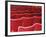 Rows of Red Theatre Seats-Kevin Walsh-Framed Photographic Print