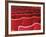 Rows of Red Theatre Seats-Kevin Walsh-Framed Photographic Print