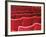 Rows of Red Theatre Seats-Kevin Walsh-Framed Photographic Print