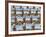 Rows of Traditional Blue and White Deckchairs, Eastbourne, Sussex, Uk-Nadia Isakova-Framed Photographic Print