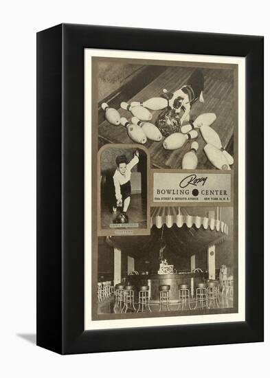 Roxy Bowling Center, Dog with Pins-null-Framed Stretched Canvas