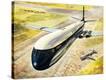 Stretched Canvas Print
