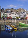 Cobh Harbour, County Cork, Munster, Republic of Ireland (Eire), Europe-Roy Rainford-Photographic Print