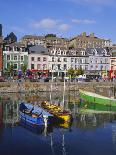 Pubs in Dingle, County Kerry, Munster, Eire (Republic of Ireland)-Roy Rainford-Photographic Print