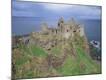 Premium Photographic Print