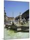 Photographic Print