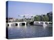 Stretched Canvas Print