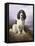 Royal, a Tri-Colour Working Springer Spaniel-Lilian Cheviot-Framed Premier Image Canvas