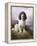 Royal, a Tri-Colour Working Springer Spaniel-Lilian Cheviot-Framed Premier Image Canvas