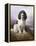 Royal, a Tri-Colour Working Springer Spaniel-Lilian Cheviot-Framed Premier Image Canvas