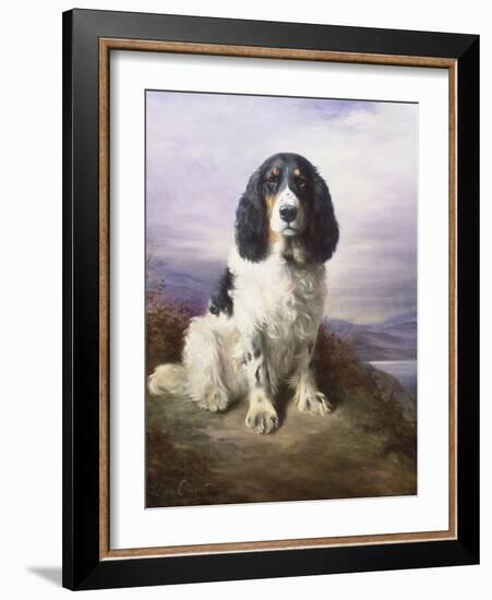 Royal, a Tri-Colour Working Springer Spaniel-Lilian Cheviot-Framed Giclee Print