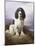 Royal, a Tri-Colour Working Springer Spaniel-Lilian Cheviot-Mounted Giclee Print