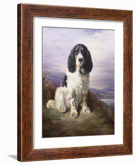 Royal, a Tri-Colour Working Springer Spaniel-Lilian Cheviot-Framed Giclee Print