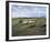 Royal Aberdeen (18th Hole)-Peter Munro-Framed Giclee Print