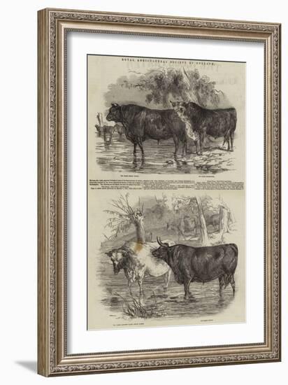 Royal Agricultural Society of England-Harrison William Weir-Framed Giclee Print