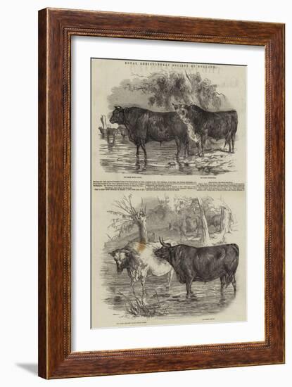 Royal Agricultural Society of England-Harrison William Weir-Framed Giclee Print