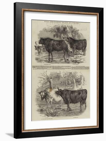 Royal Agricultural Society of England-Harrison William Weir-Framed Giclee Print