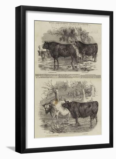 Royal Agricultural Society of England-Harrison William Weir-Framed Giclee Print