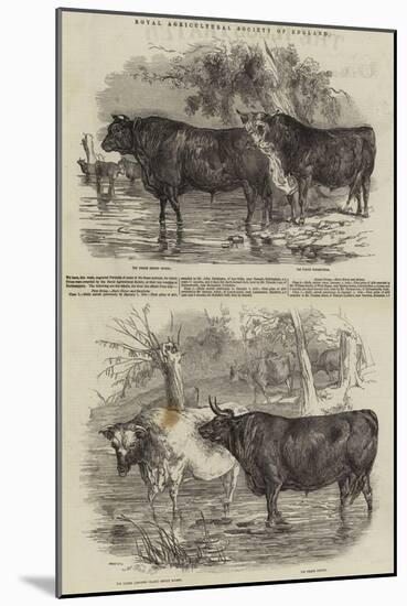 Royal Agricultural Society of England-Harrison William Weir-Mounted Giclee Print