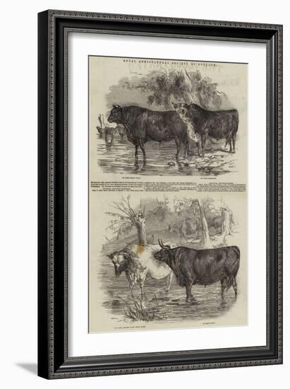 Royal Agricultural Society of England-Harrison William Weir-Framed Giclee Print