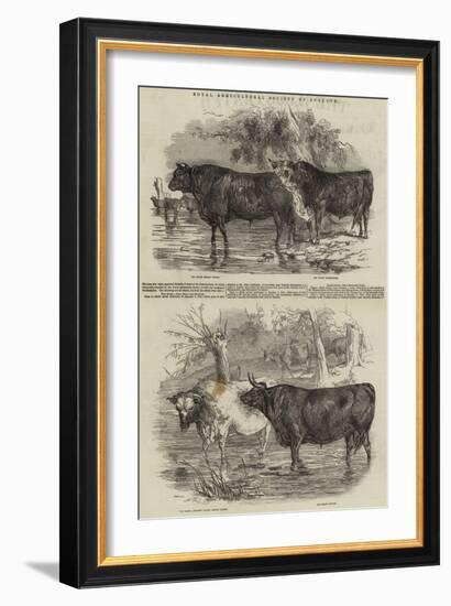 Royal Agricultural Society of England-Harrison William Weir-Framed Giclee Print