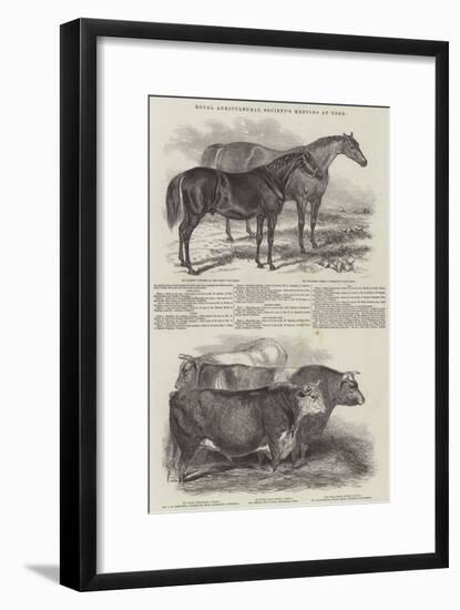 Royal Agricultural Society's Meeting, at York-null-Framed Giclee Print