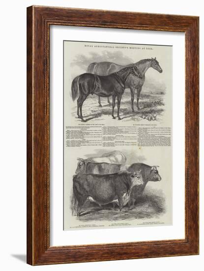 Royal Agricultural Society's Meeting, at York-null-Framed Giclee Print