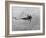 Royal Air Force Coastal Command Rescue Helicopters in Action-null-Framed Photographic Print