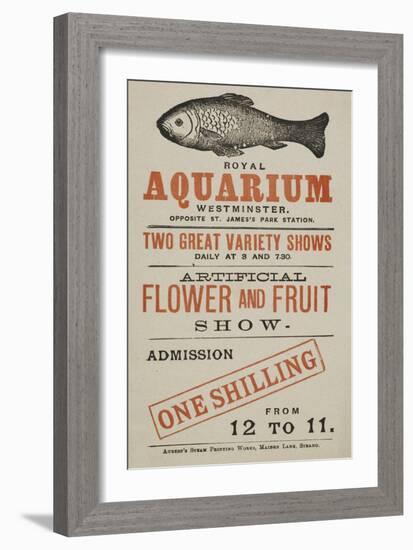 Royal Aquarium, Westminster ... Two Great Variety Shows Daily ... Artificial Flower and Fruit Show-null-Framed Giclee Print