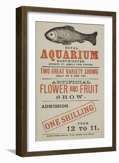 Royal Aquarium, Westminster ... Two Great Variety Shows Daily ... Artificial Flower and Fruit Show-null-Framed Giclee Print