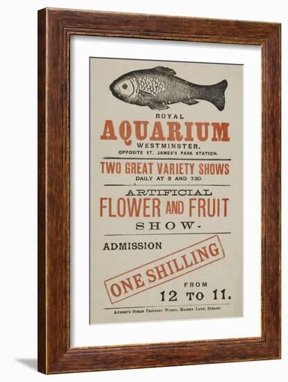 Royal Aquarium, Westminster ... Two Great Variety Shows Daily ... Artificial Flower and Fruit Show-null-Framed Giclee Print