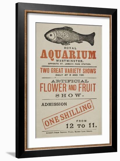 Royal Aquarium, Westminster ... Two Great Variety Shows Daily ... Artificial Flower and Fruit Show-null-Framed Giclee Print