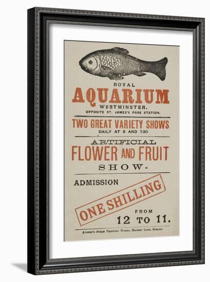 Royal Aquarium, Westminster ... Two Great Variety Shows Daily ... Artificial Flower and Fruit Show-null-Framed Giclee Print