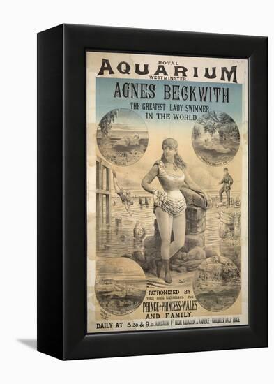 Royal Aquarium-null-Framed Premier Image Canvas