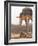 Royal Bengal Tiger At The Cenotaph, Ranthambhor National Park, India-Jagdeep Rajput-Framed Photographic Print